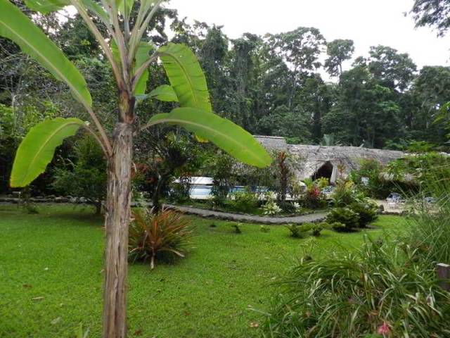 Vista General