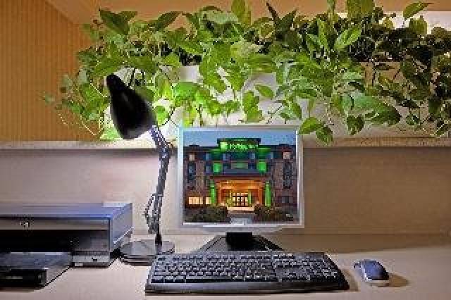 Desportos y Entretenimento