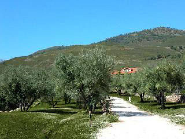 Vista General