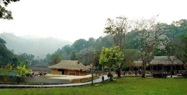 Vista General