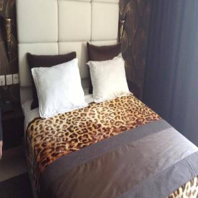 Quarto