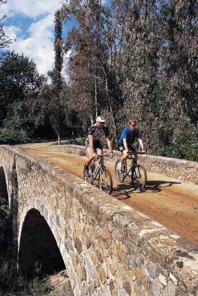 Desportos y Entretenimento
