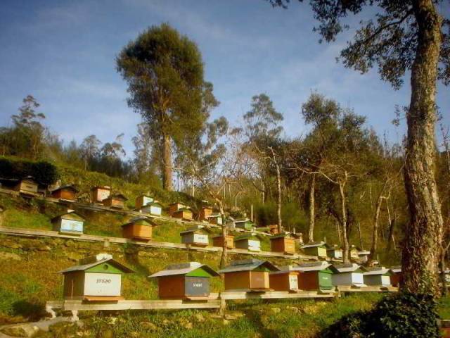 Vista General