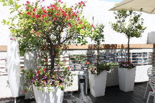 TerraÃ§o