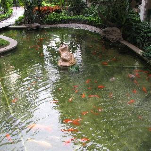 TerraÃ§o