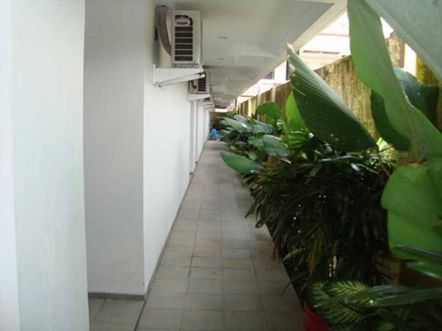 Terraço