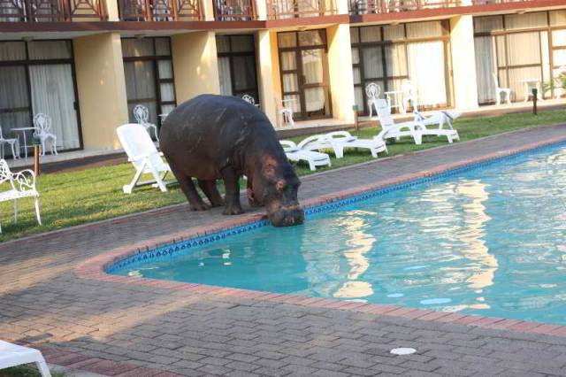 Piscina