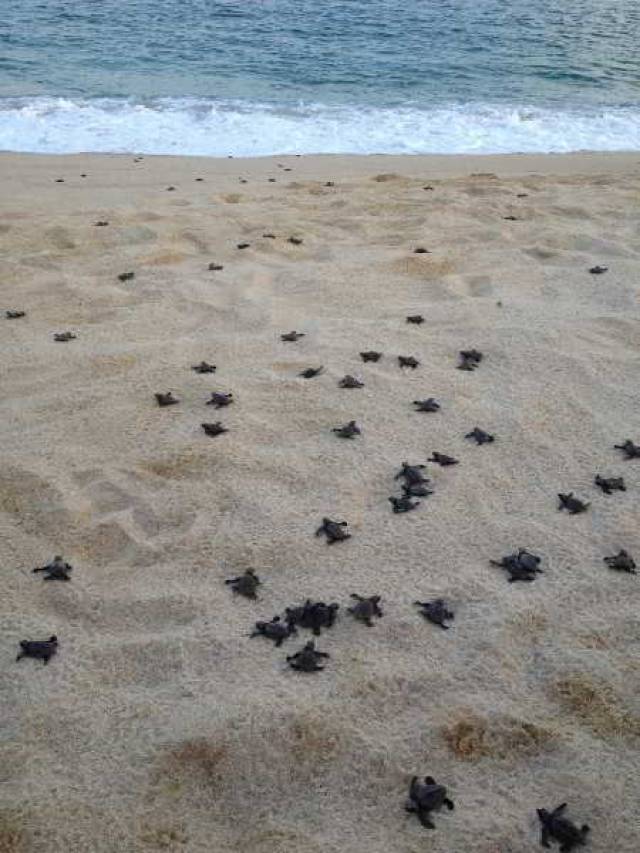 Praia
