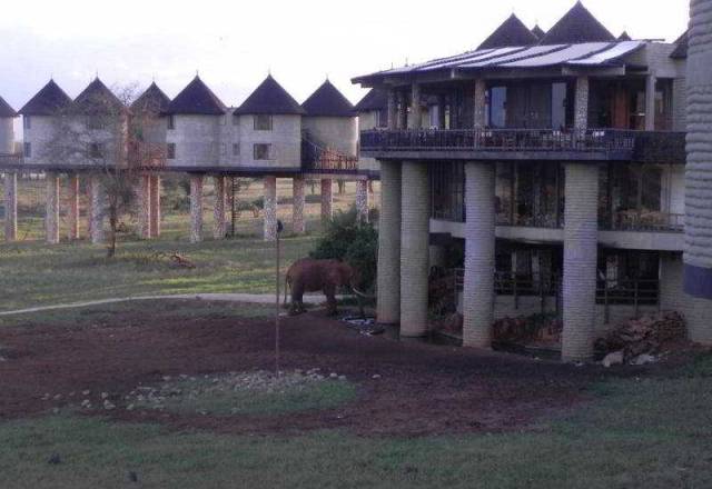Vista General