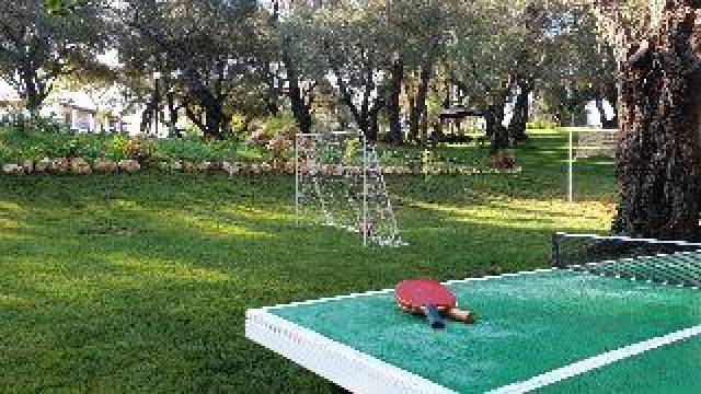Desportos y Entretenimento