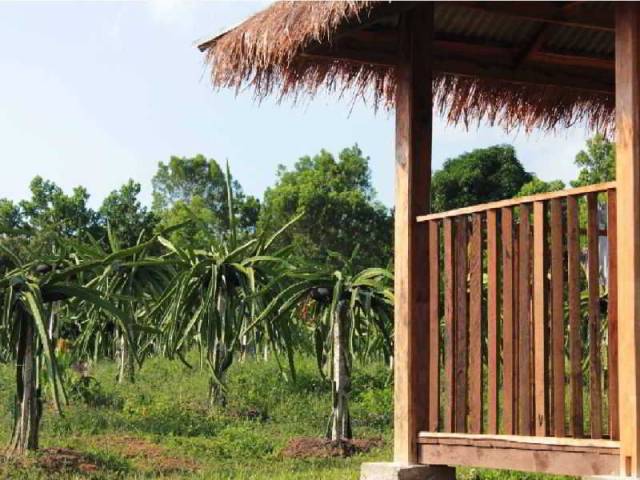 Terraço
