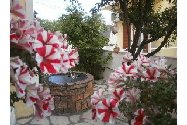 TerraÃ§o