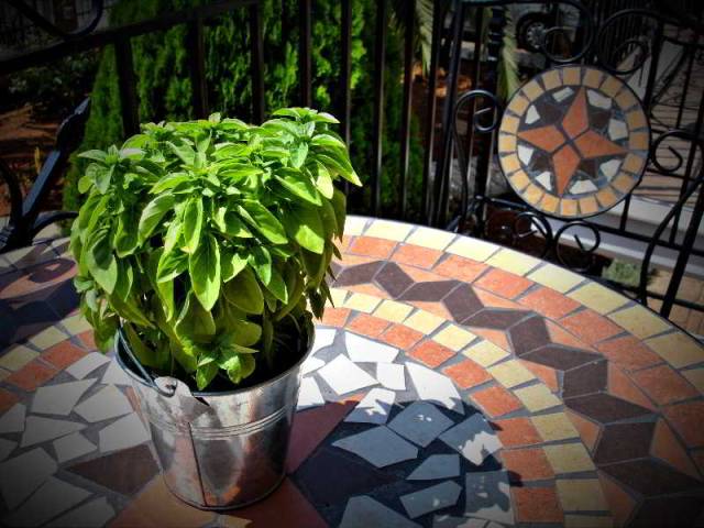 Terraço