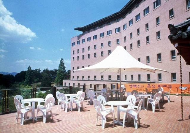 Terraço