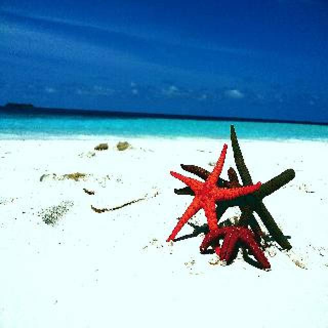 Praia