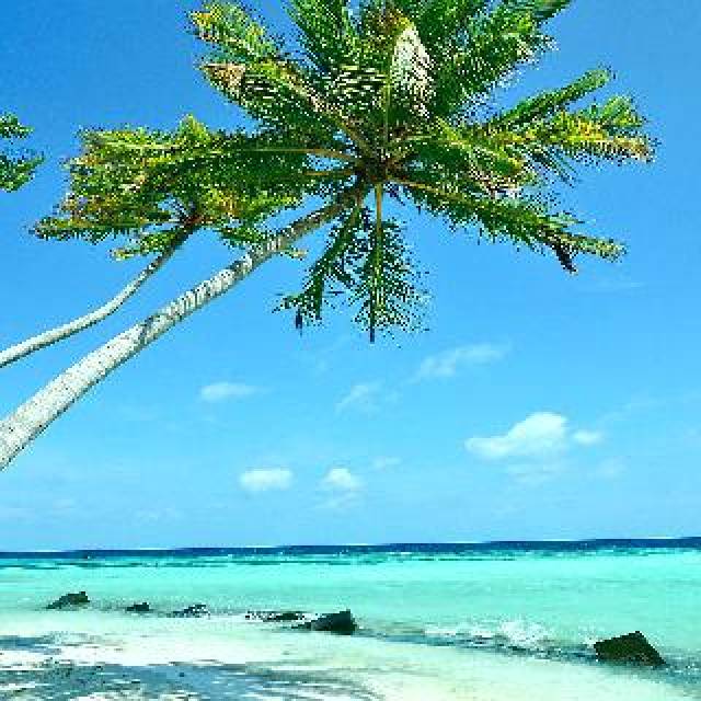 Praia