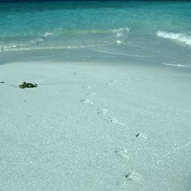 Praia