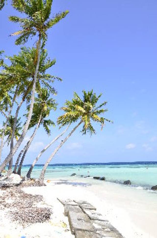 Praia