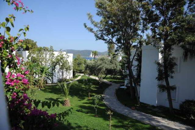 Vista General