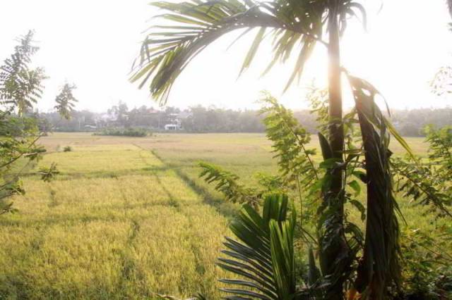 Vista General
