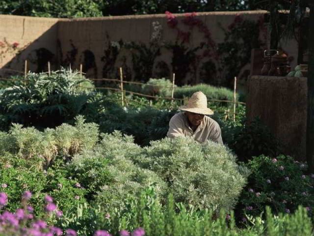 Vista General
