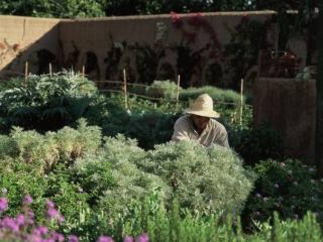 Vista General