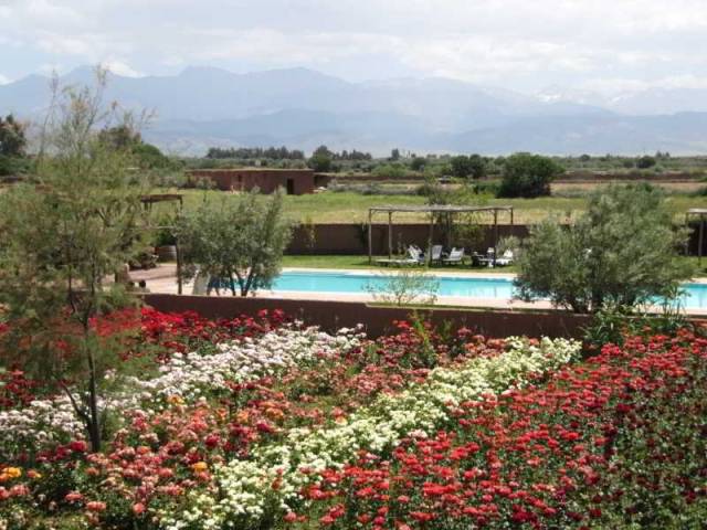 Vista General