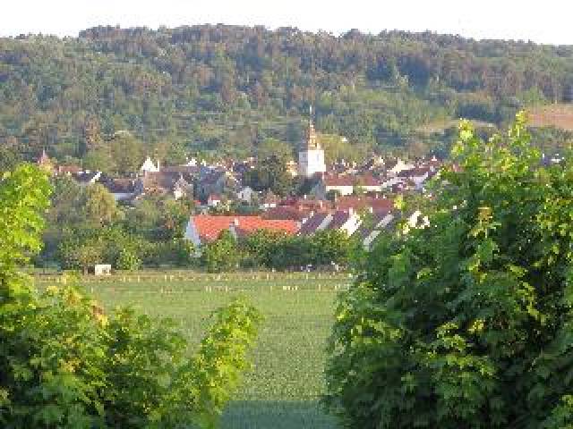 Vista General