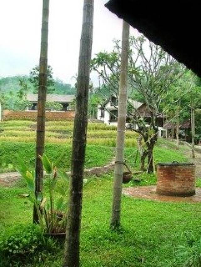 Vista General