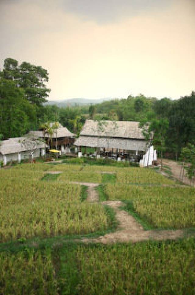 Vista General