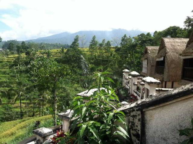 Vista General