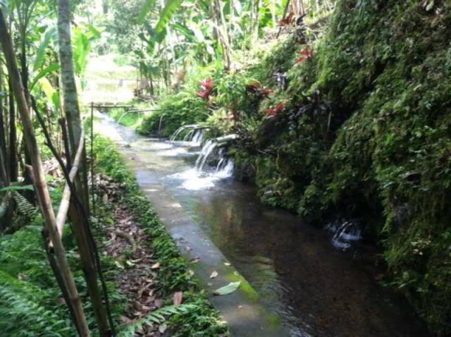 Vista General