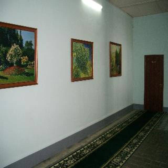 Vista General