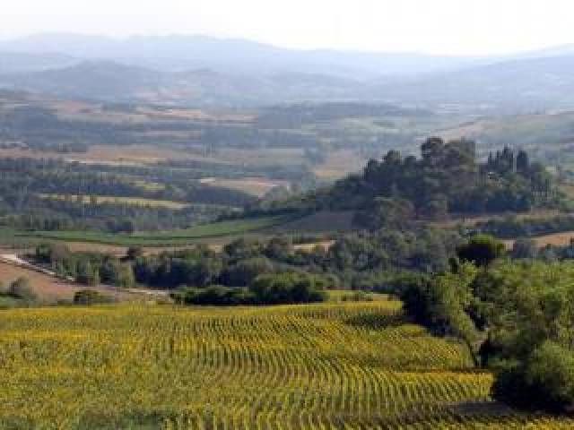 Vista General