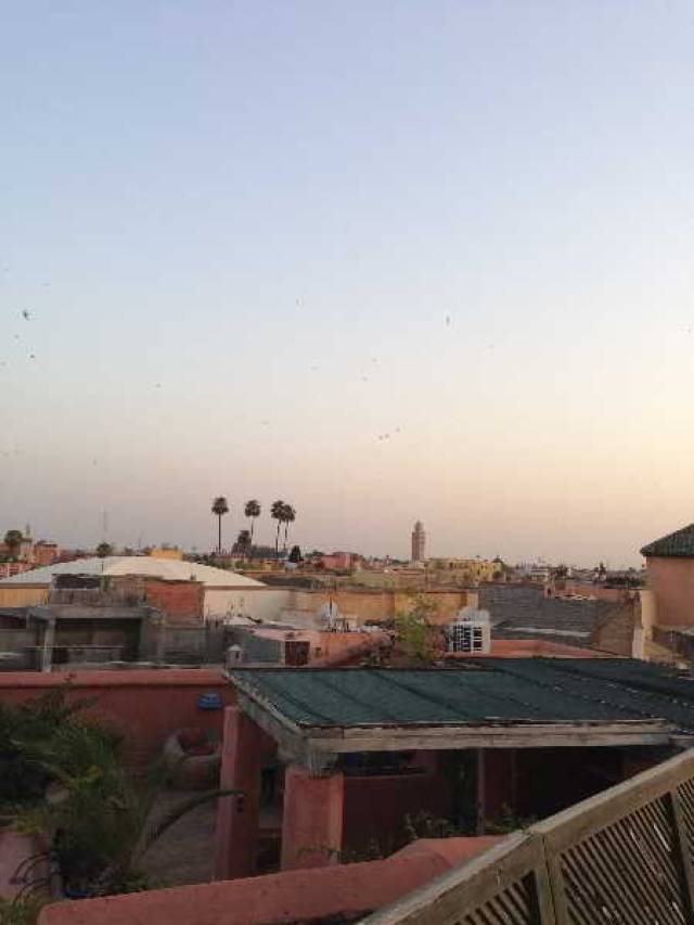 TerraÃ§o