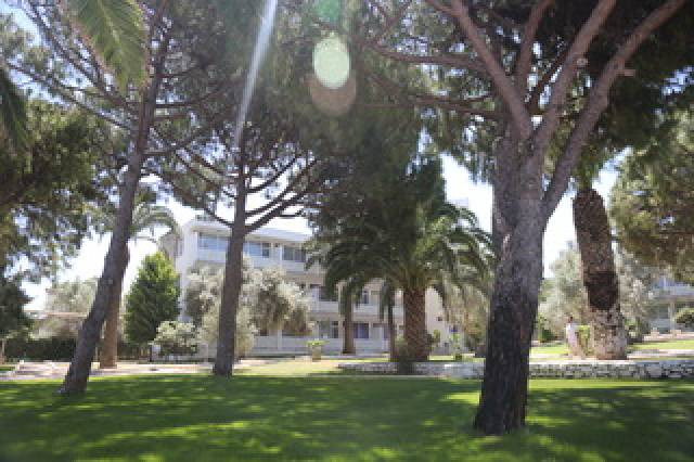 Vista General