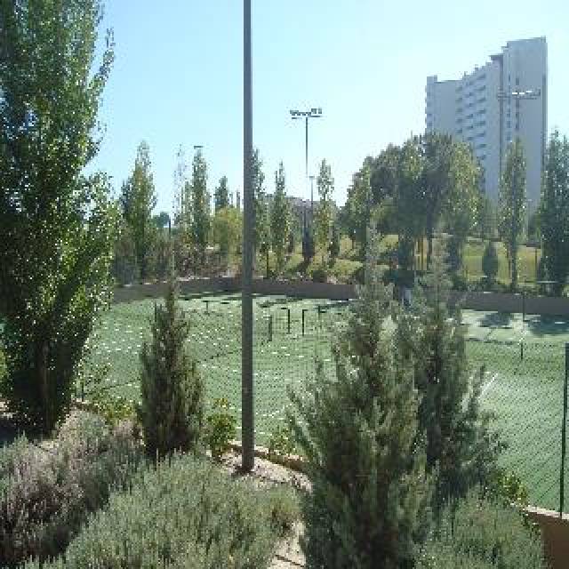 Desportos y Entretenimento