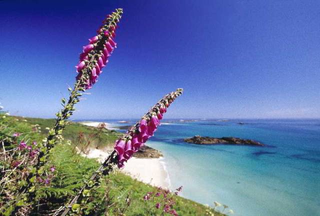 Praia