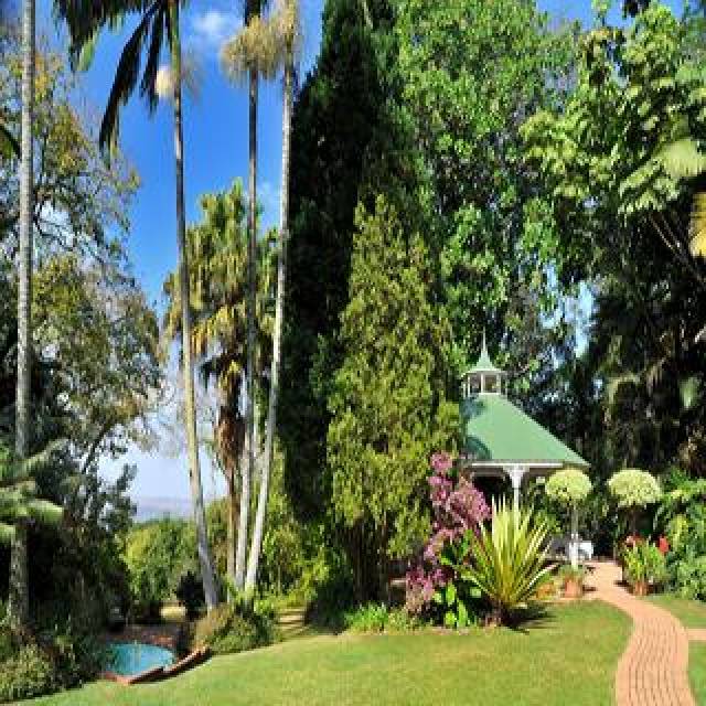 Vista General