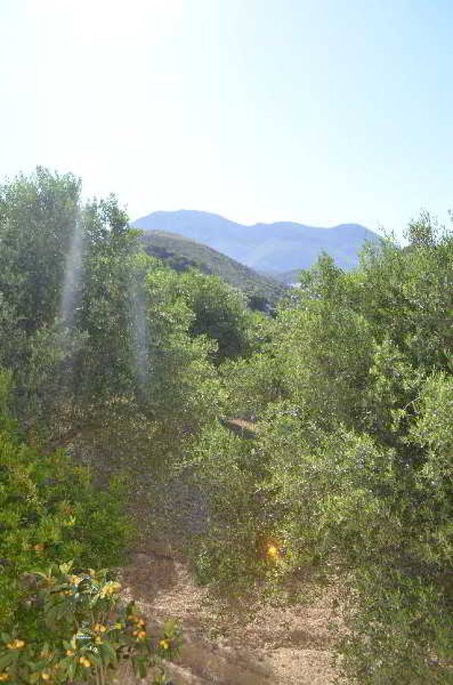 Vista General