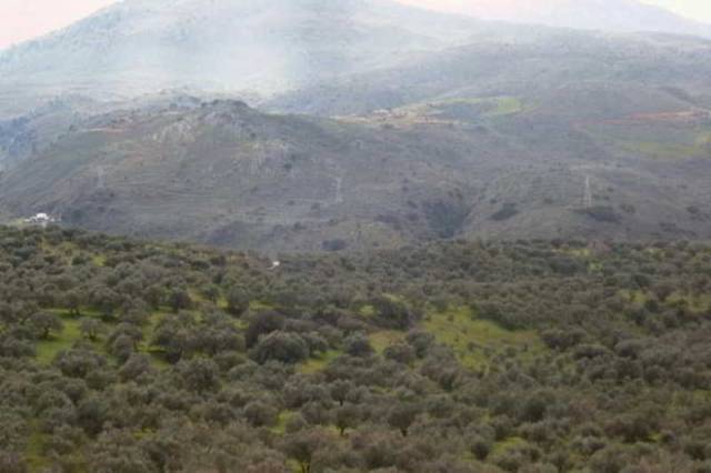 Vista General