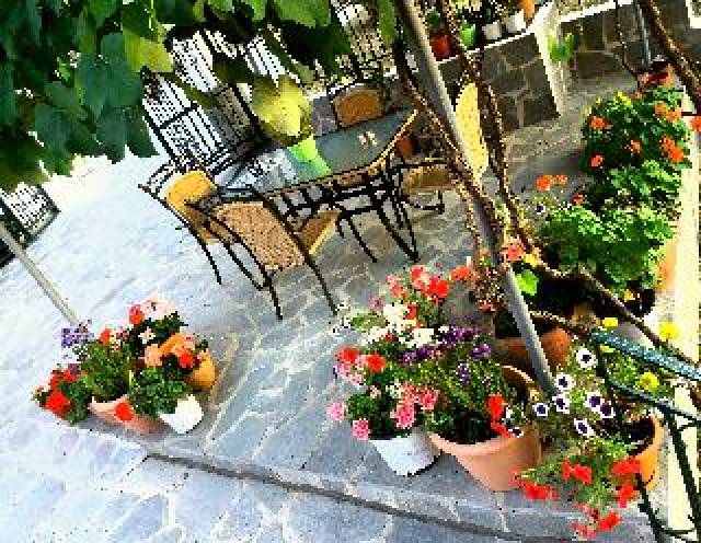 TerraÃ§o