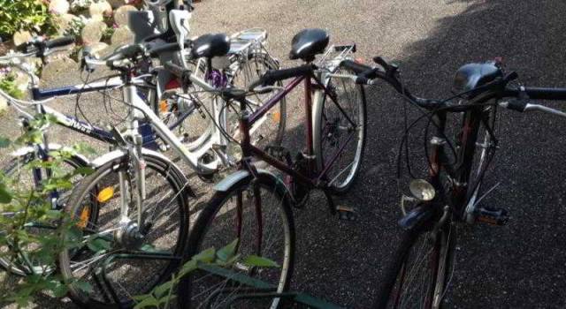Desportos y Entretenimento