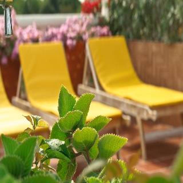 TerraÃ§o