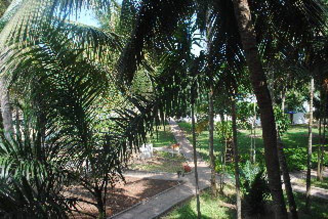 TerraÃ§o