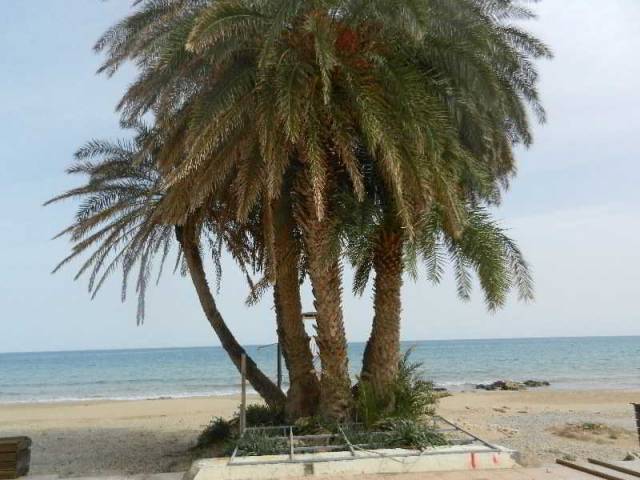 Praia