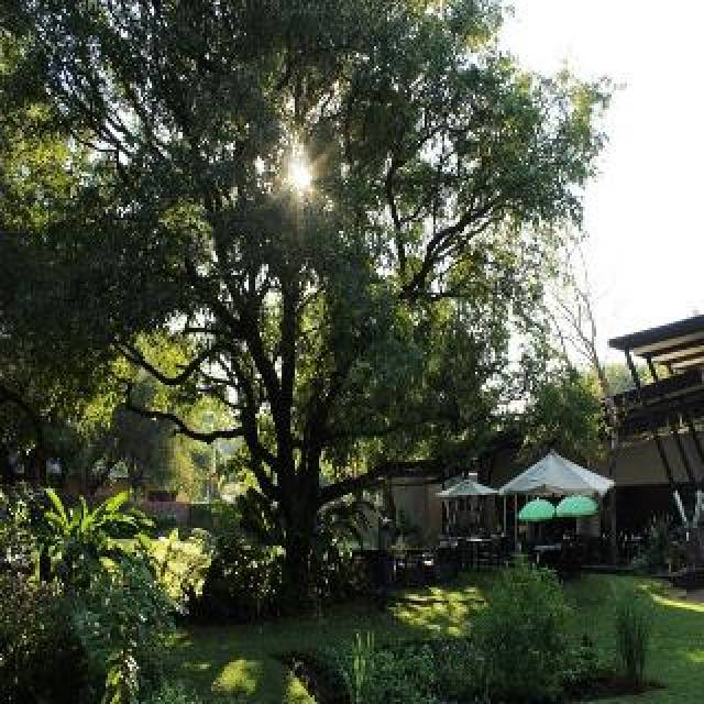 TerraÃ§o