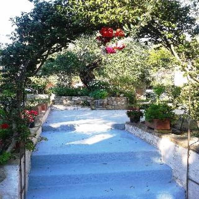 TerraÃ§o