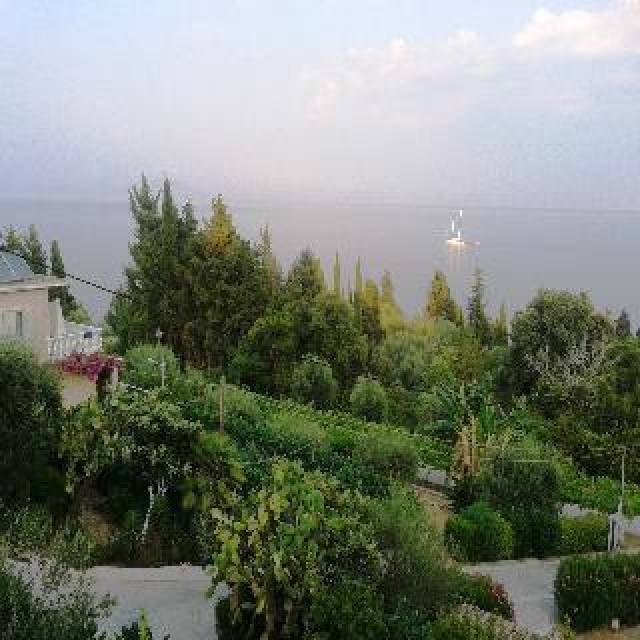 TerraÃ§o