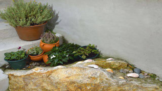 Terraço